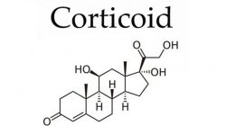Các cấp độ khi da nhiễm Corticoid và hậu quả khi da bị nhiễm Corticoid